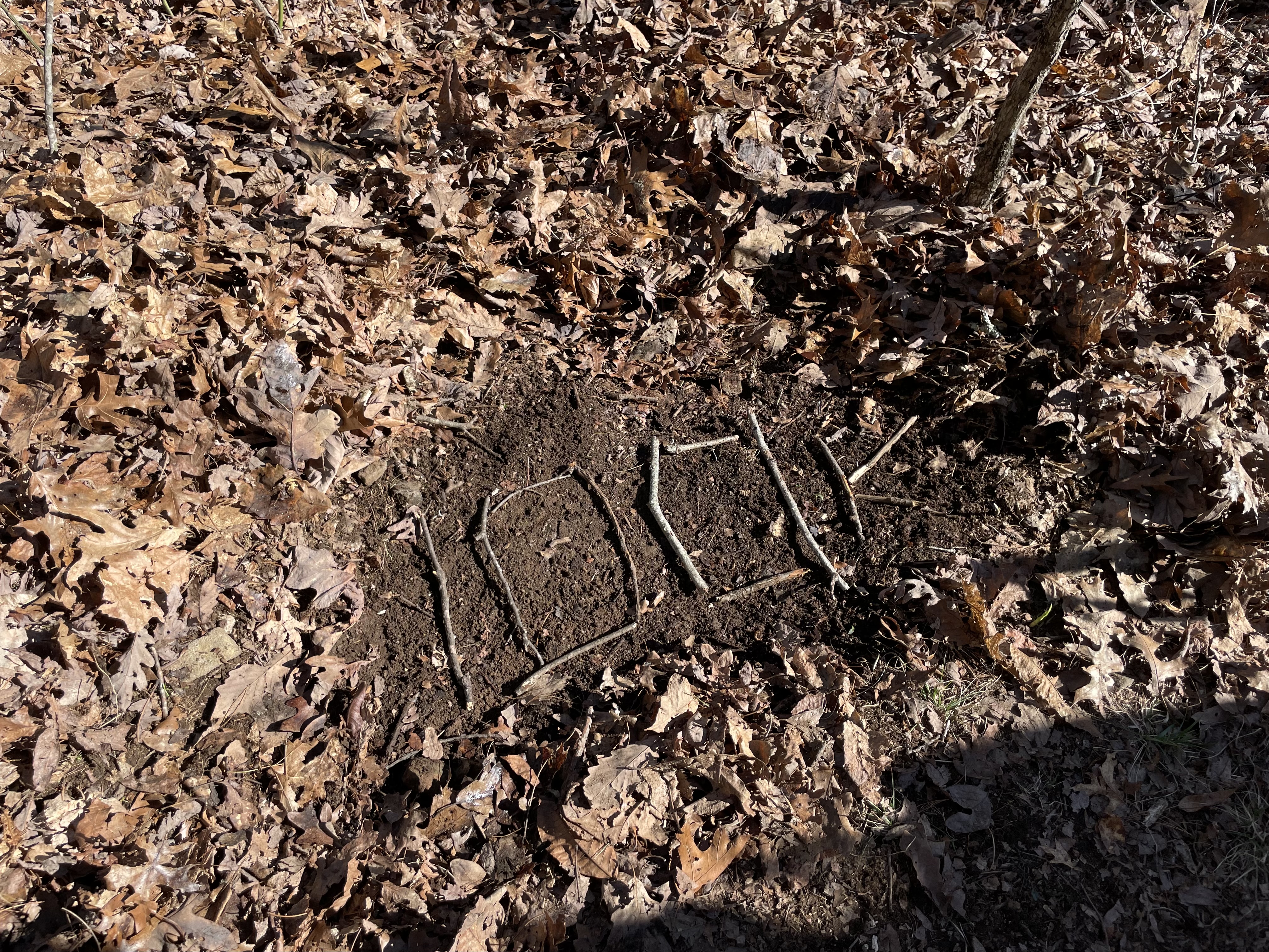 856DC38A-966A-4685-9295-96BFF02058C4